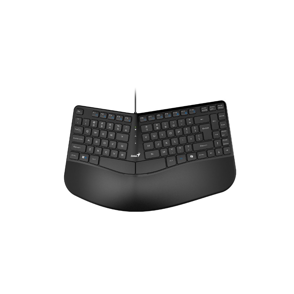 TECLADO GENIUS ERGO NEGRO USB TECLA COPILOT MULTIMEDIA REPOSAMANOS WIN / MAC OS